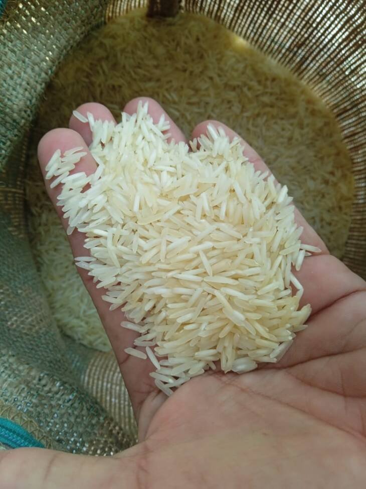 RABBANI ANBER - Image 3